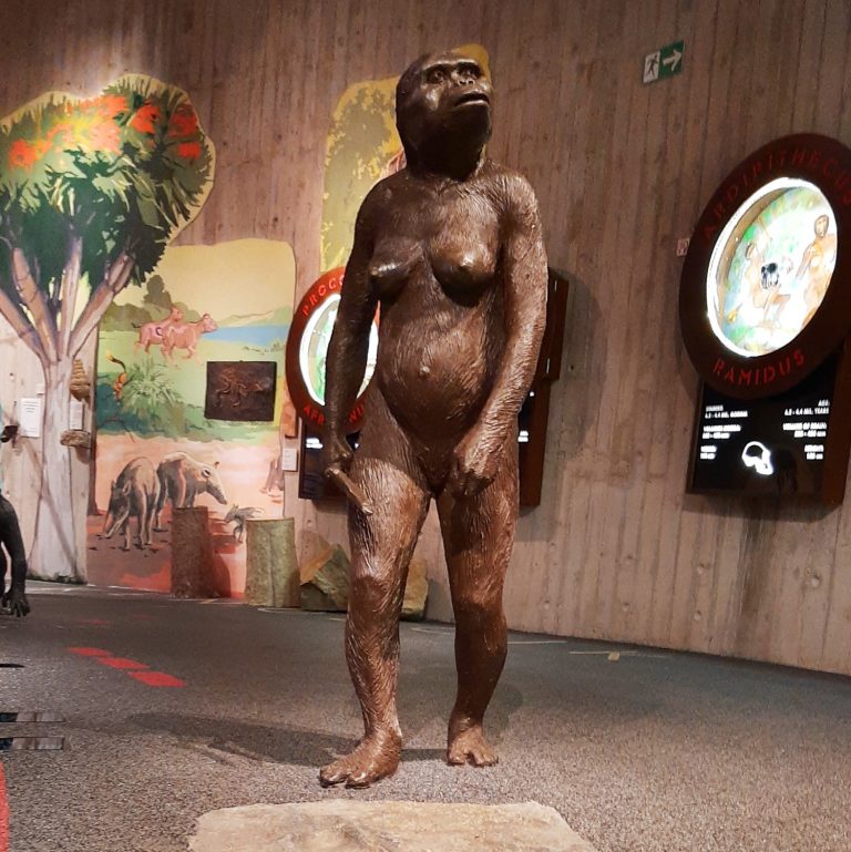 Read more about the article U potrazi za precima – Muzej krapinskih neandertalaca