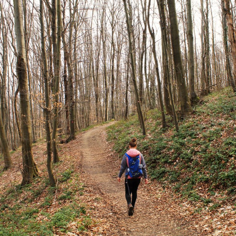 Pročitajte više o članku Pet razloga za posjet Čevu