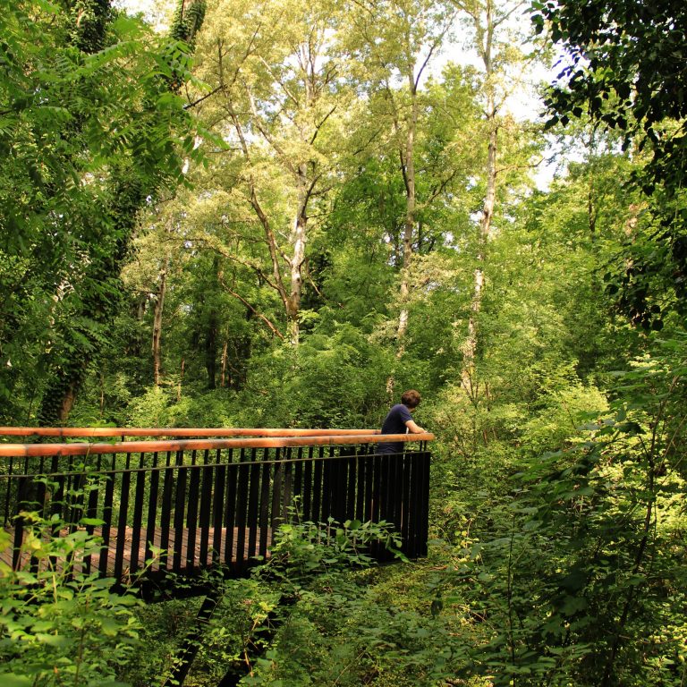 Pročitajte više o članku Što je forest bathing i gdje uživati u ovom iskustvu?