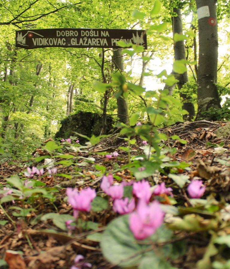 Read more about the article Planinarenje Ravnom gorom i posjet vidikovcu Glažareva pećina